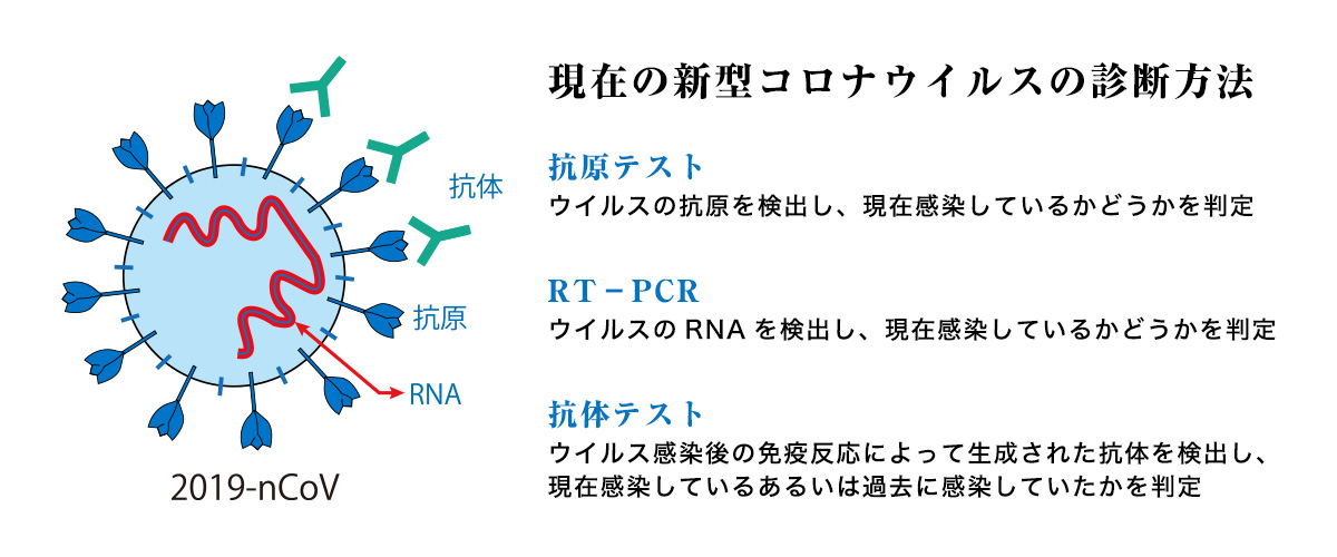 現在の新型コロナウイルスの診断方法 抗原テスト ウイルスの抗原を検出し、現在感染しているかどうかを判定 RT−PCR ウイルスのRNAを検出し、現在感染しているかどうかを判定 抗体テスト ウイルス感染後の免疫反応によって生成された抗体を検出し、 現在感染しているあるいは過去に感染していたかを判定